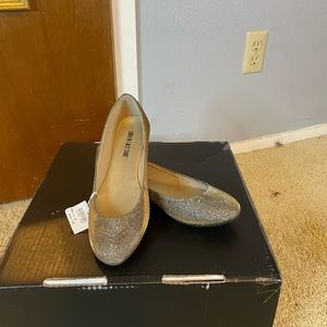 Shimmery Silver Ballet Flats Lower East Side